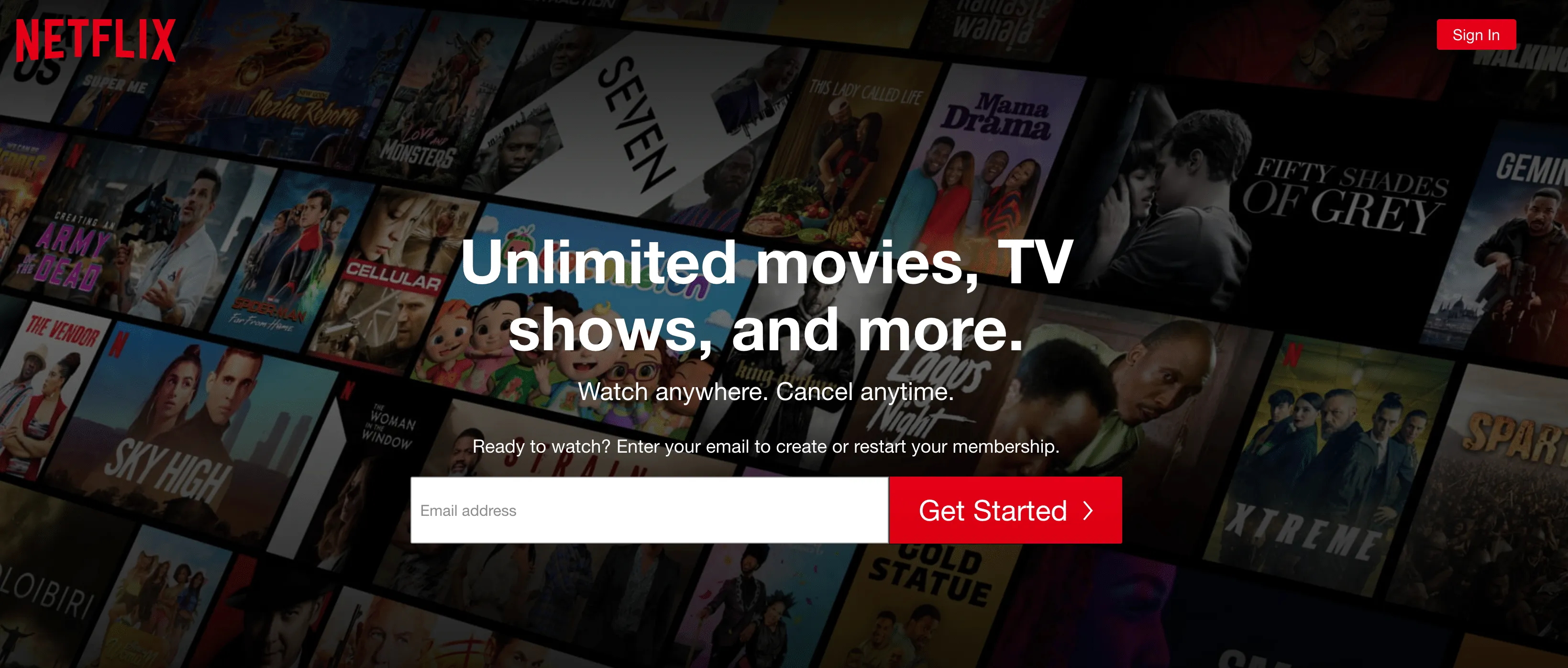 The Netflix homepage.